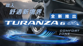 New Turnaza 6